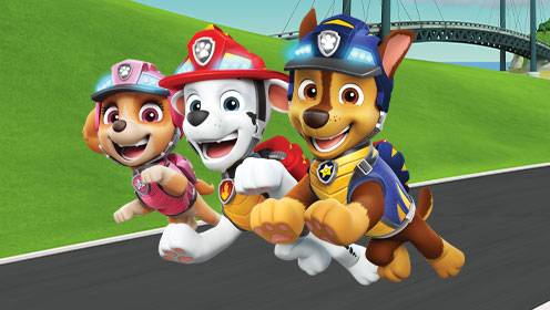 Paw Patrol S07 B25