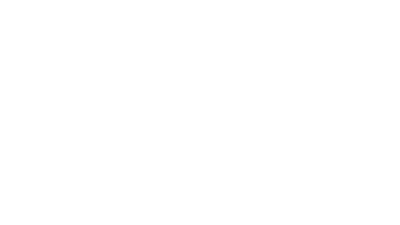 Issız Adam